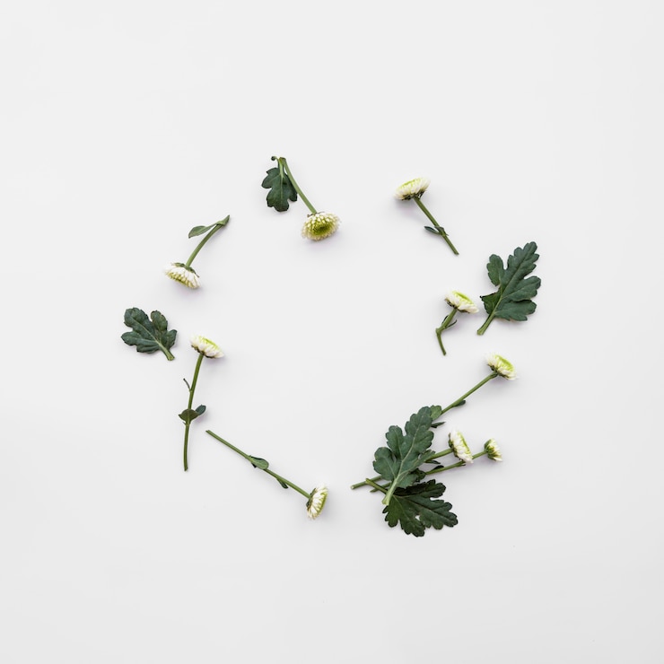 Kostenlose Foto rundes layout von frischen blumen
