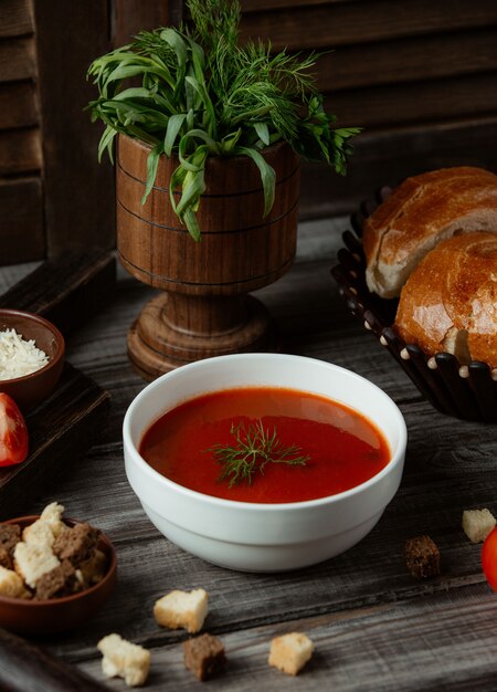 Russische Suppe Borsh mit Kräutern und Crackern