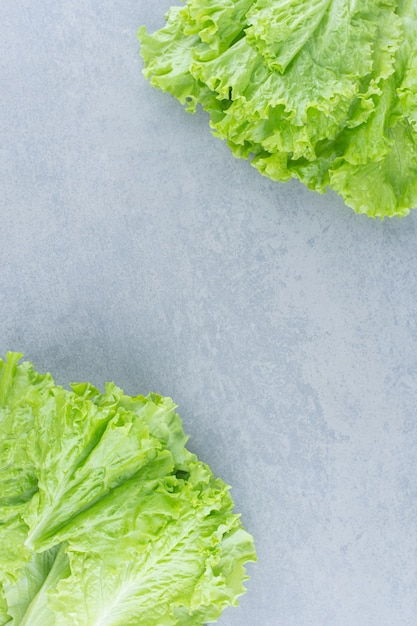 Salatblätter lokalisiert auf grauem Hintergrund.