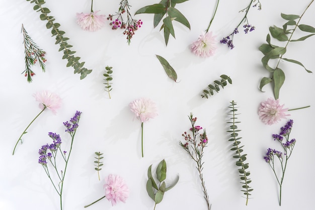 Sammlung von großen Blumen über weiße Oberfläche