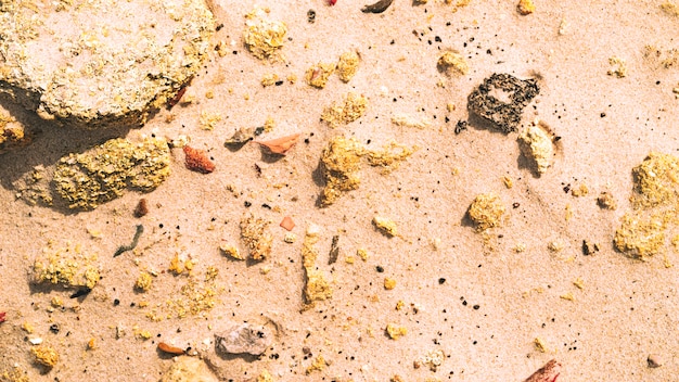 Sand und Felsen
