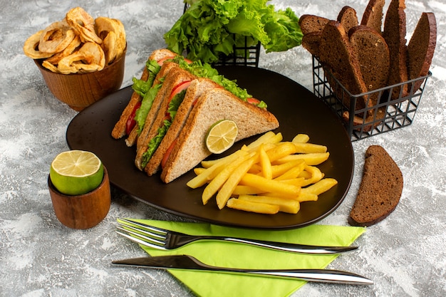 Kostenloses Foto sandwiches und pommes zusammen mit schwarzbrot auf grau