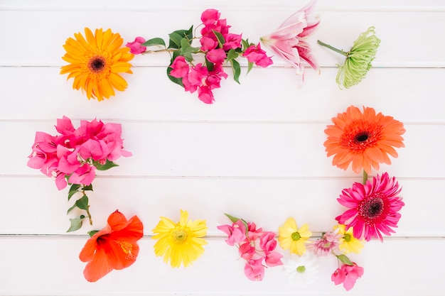 Sanfte Blumen im Rahmen angeordnet