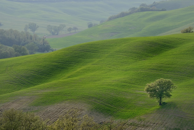 Sanfte Hügel Landschaft