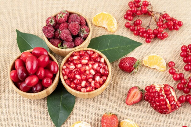 Schalen mit Granatapfel, Himbeeren und Hüften mit verstreutem Obstsortiment