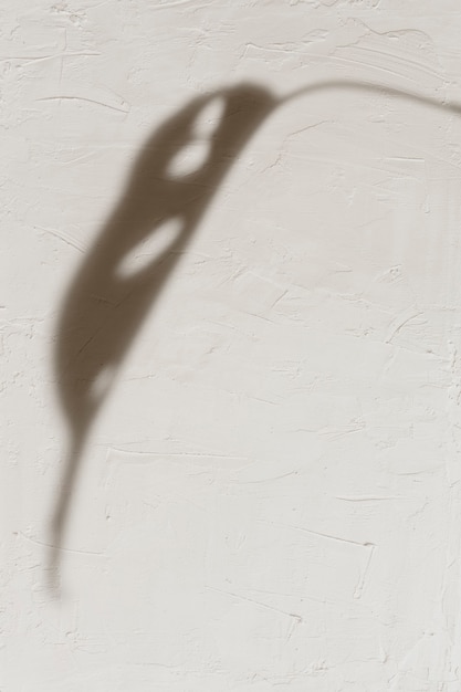 Schatten des Blattes auf weißem Hintergrund