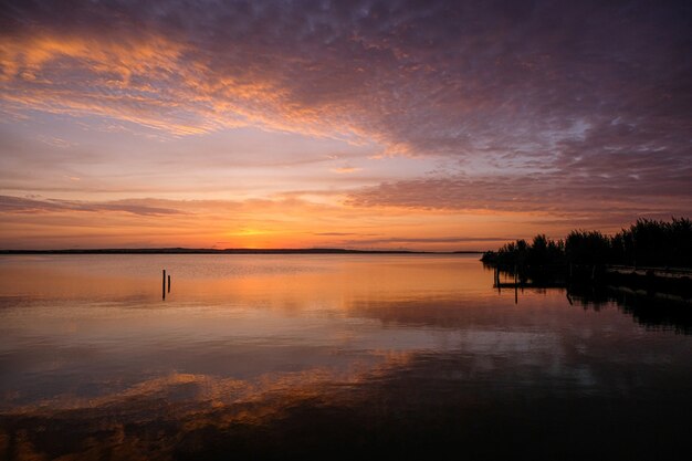 Schattenbild der Bäume nahe dem Wasser unter einem bewölkten Himmel