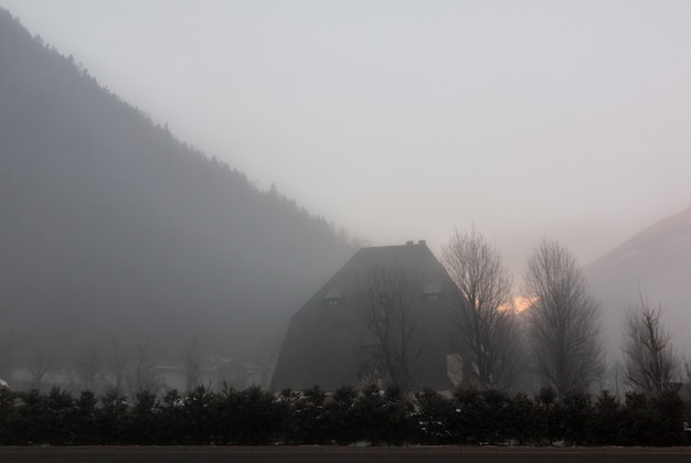 Kostenloses Foto schattenbild der bloßen bäume während des sonnenaufgangs