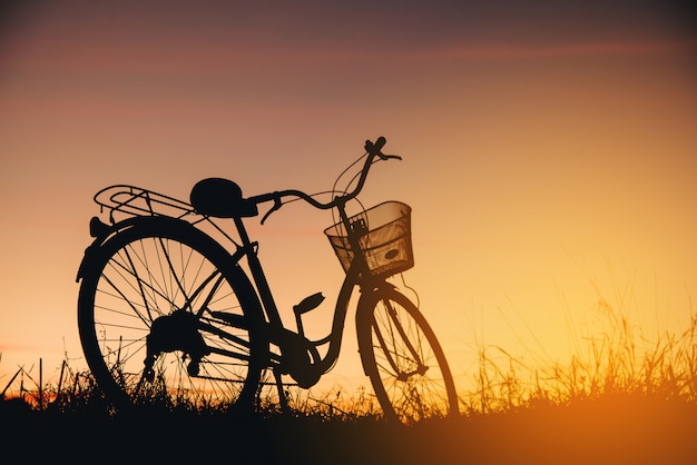 Schattenbild des Weinlese-Fahrrades am Sonnenuntergang