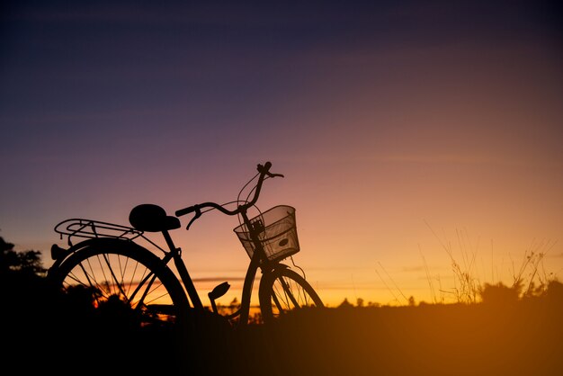 Schattenbild des Weinlese-Fahrrades am Sonnenuntergang