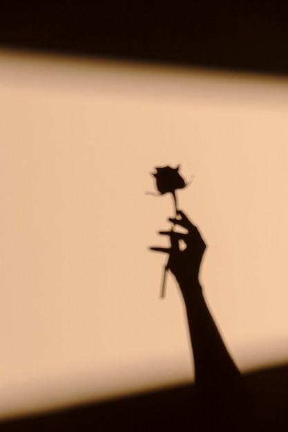 Schattenbilder der Frau, die eine Blume hält