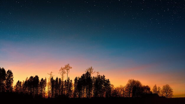 Schattenbildfotografie von Bäumen unter blauem Himmel während der goldenen Stunde