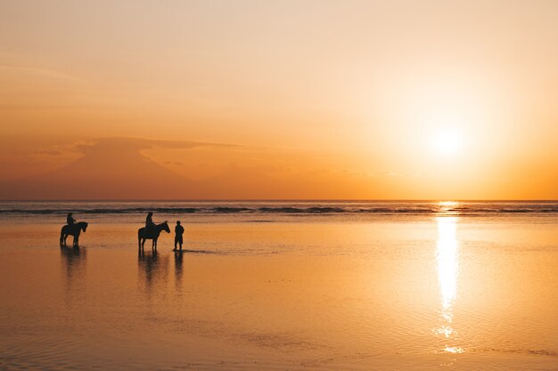 Schattenbildporträt des jungen romantischen Paares, das auf dem Pferderücken am Strand reitet. Mädchen und ihr Freund am goldenen bunten Sonnenuntergang
