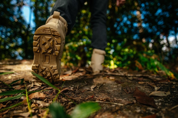 Schließen Sie die Schuhe des Wanderers, der auf dem Waldweg mit Sonnenlichtkopierraum spazieren geht