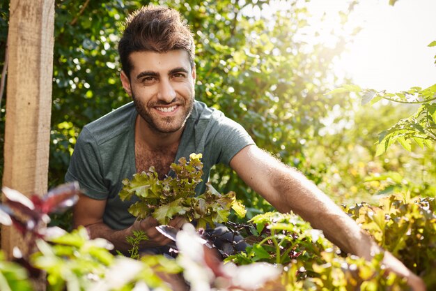 Schließen Sie herauf Außenporträt des jungen schönen bärtigen hispanischen Mannes im blauen Hemd, das in der Kamera lächelt, Salatblätter im Garten sammelt, Pflanzen gießt, Sommermorgen im Landhaus verbringt.