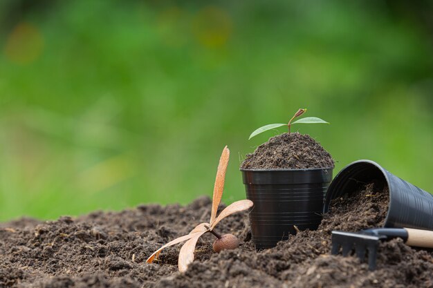 Schließen sie herauf bild der gartenausrüstung, die auf erde gelegt wird