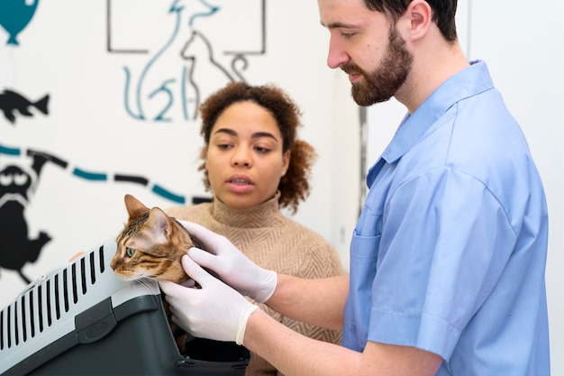 Schließen sie herauf doktor, der nette katze hält