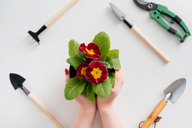 Schließen Sie herauf Frau, die Blumentopf hält