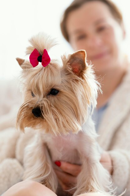 Schließen Sie herauf Frau, die niedlichen Hund hält