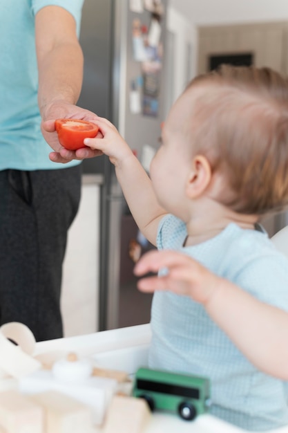 Schließen Sie herauf Kleinkind, das Tomate hält