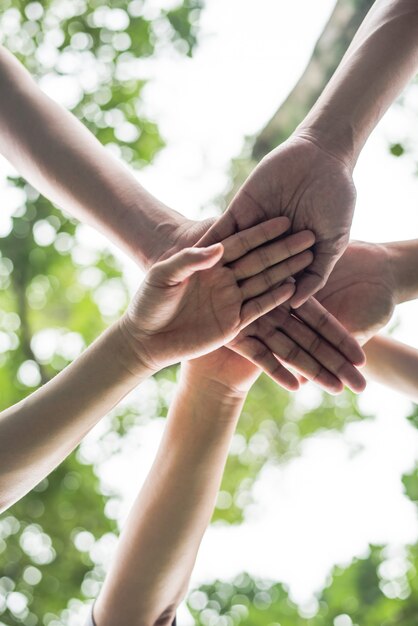 Schließen Sie herauf Teamstudentteamwork-Stapelhände zusammen. Startup, Erfolgskonzept.