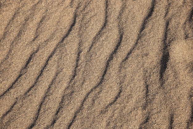 Kostenloses Foto schließen sie oben auf bodenbeschaffenheitsdetails