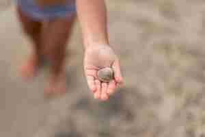 Kostenloses Foto schließen sie oben von der kinderhand, die eine muschel zeigt