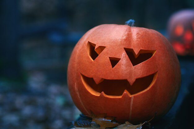 Schließen Sie oben von einem Jackkopf-Halloween-Kürbis in einem dunklen Wald bei Nacht copyspace.