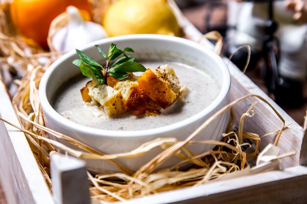 Schließen Sie Porträt schießen Pilzsuppe mit Crackern in einer Box