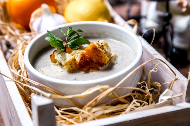 Schließen Sie Porträt schießen Pilzsuppe mit Crackern in einer Box