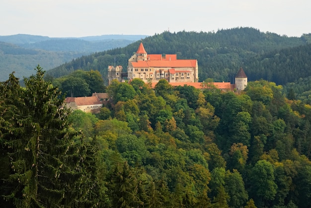 Kostenloses Foto schloss in der mitte des berges