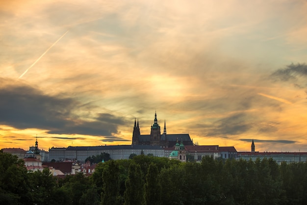 Schloss und Stadt umgeben von Bäumen