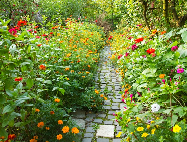 Kostenlose Foto schmaler weg in einem garten, umgeben von vielen bunten blumen