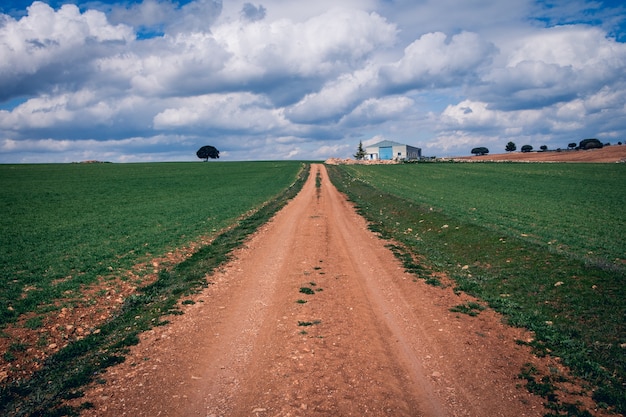 Kostenloses Foto schmaler weg in einem grünen grasfeld unter einem bewölkten himmel