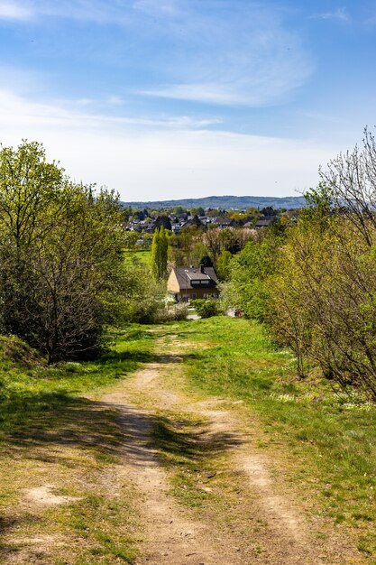 Schmaler Weg in einem grünen Land, umgeben von vielen Bäumen mit Häusern