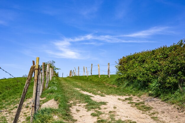 Schmaler Weg in einem grünen landwirtschaftlichen Feld während des Tages