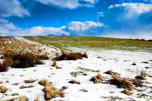 Kostenloses Foto schnee und grünen wiese