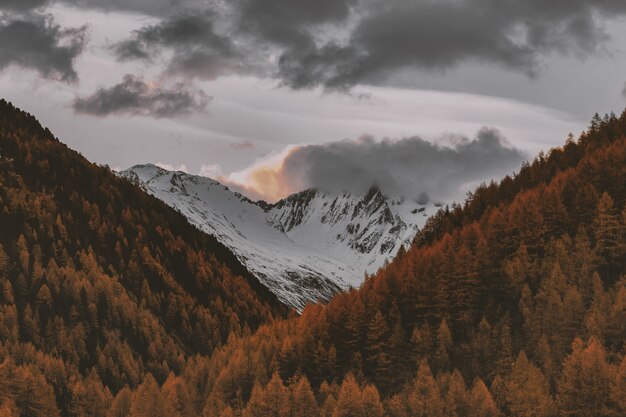 Schneebedeckte Berglandschaft