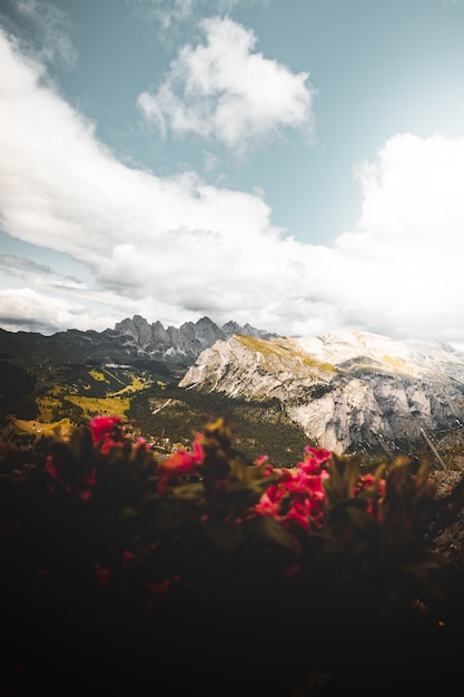 Kostenloses Foto schneebedeckte berglandschaft