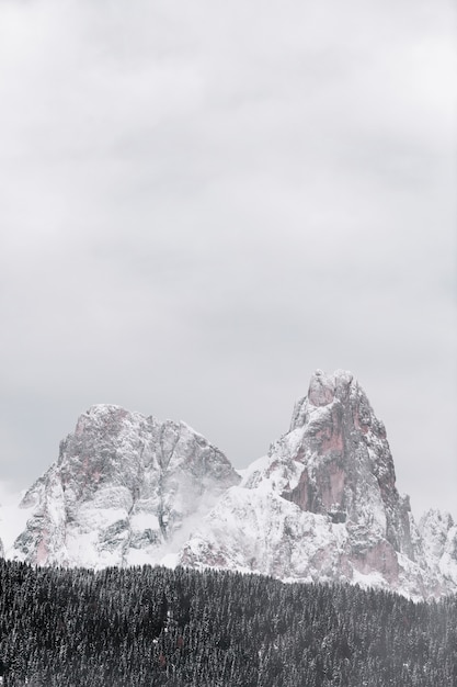 Schneebedeckter Berg durch Wald während der Wintersaison