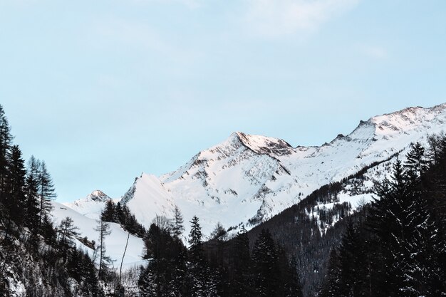Schneebedeckter Berg mit schwarzen Bäumen unter blauem Himmel zur Tageszeit