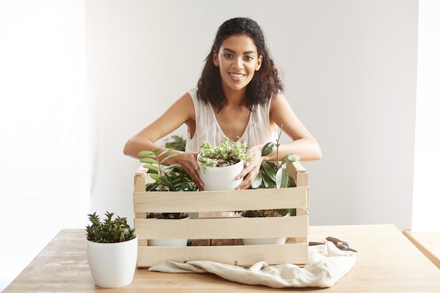 Schöne afrikanische Frau lächelnd, die Blumentopf vom Kasten mit Pflanzen über weißer Wand nimmt.