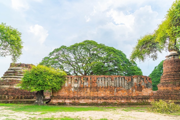 Kostenloses Foto schöne alte architektur historische von ayutthaya in thailand