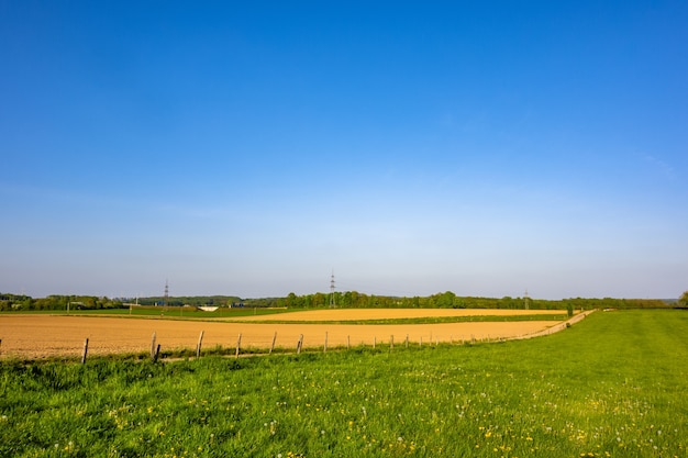 Schöne ansicht des landwirtschaftsfeldes mit einem klaren horizont, der an einem hellen sonnigen tag gefangen genommen wird