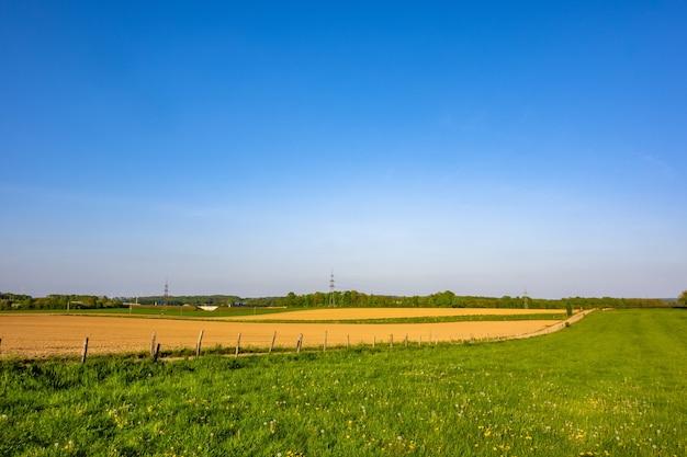 Schöne Ansicht des Landwirtschaftsfeldes mit einem klaren Horizont, der an einem hellen sonnigen Tag gefangen genommen wird