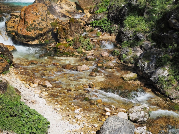 Schöne Ansicht des Zweigs des Baumes auf dem Wasserstromhintergrund mit Steinen und Felsen