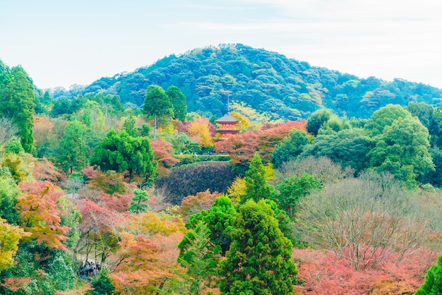 Schöne Architektur im Kiyomizu-Tempel in Kyoto Japan