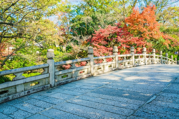 Kostenlose Foto schöne architektur in kiyomizudera kyoto, japan