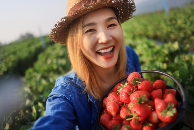 Schöne asiatische Bäuerin zeigt frische rote Erdbeere im Eimer und heftet Selfie-Foto mit Smartphone in Bio-Erdbeerfarm