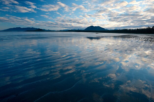 Schöne Aufnahme der Insel Vargas, in der Nähe von Tofino, Vancouver Island, BC, Kanada